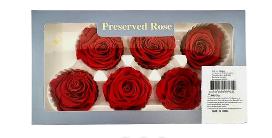 6pc-Preserved Red rose