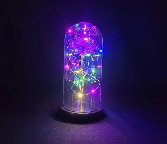 Galaxy rose with lights