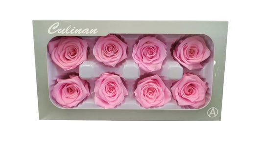 8pc Preserved Pink rose